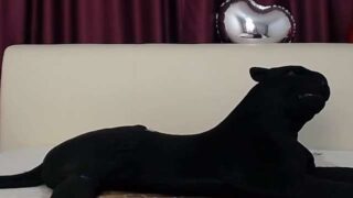 Nadia_Love naked stripping on cam for live sex video chat