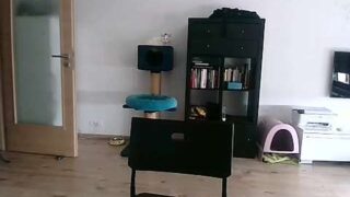 G0ldenC0bra naked stripping on cam for live sex video chat
