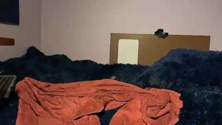 Sexdoll1111 naked stripping on cam for live sex video chat