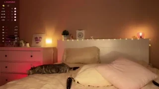 SanySenise nude stripg before cam for live sex video chat