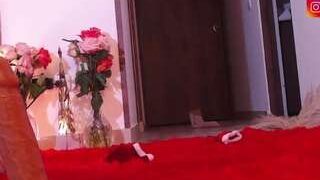 LuxKaroline nude on sex webcam in her Live Sex Chat