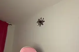 mandyy__ nude stripg before cam for live sex video chat